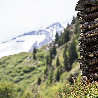 Holzzaun auf einem Berg