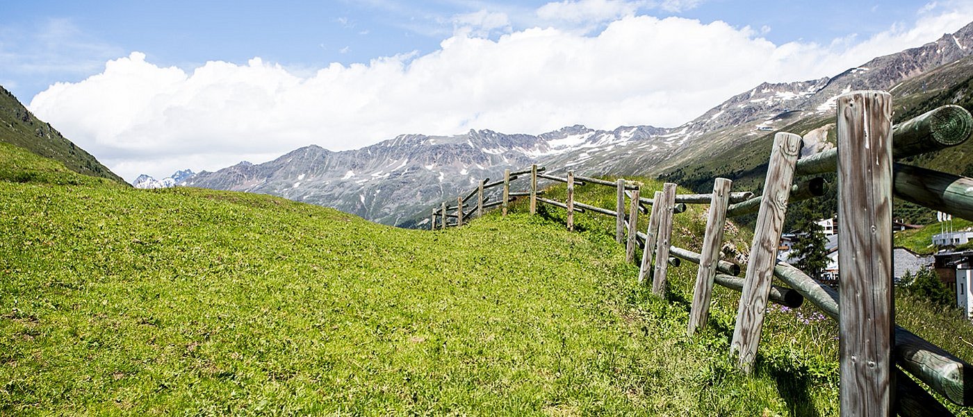 Green alpine meadow with wooden fence