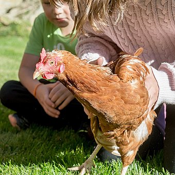 Kinder sitzen neben einem Huhn im Gras.