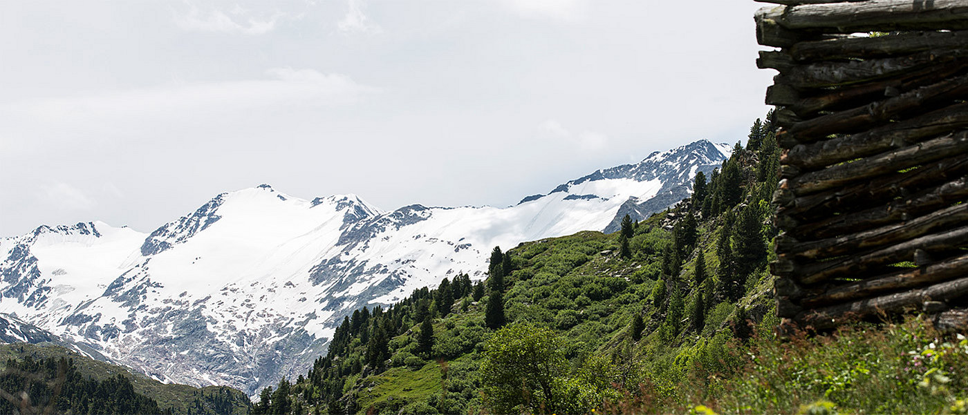 Blick auf schneebedeckte Berggipfel