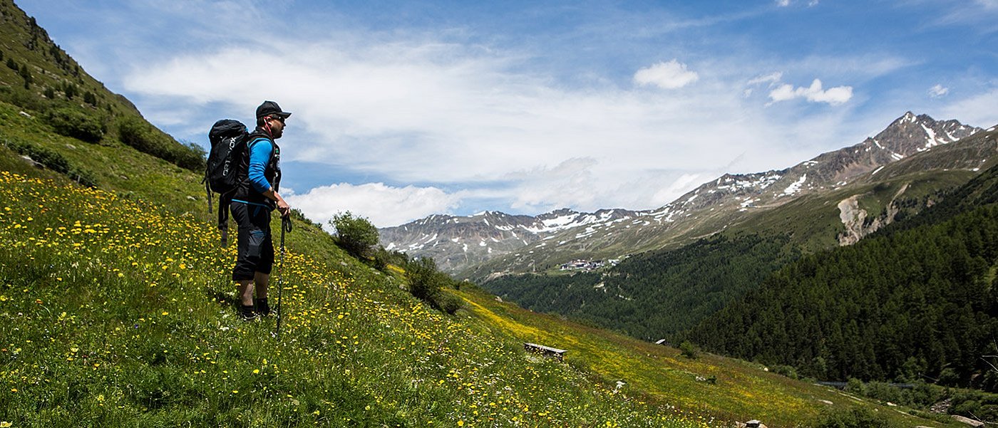 Wanderer auf blühender Bergwiese