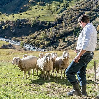 Man with a small flock of sheep