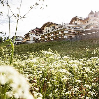 Blick auf das Hotel Alpenaussicht im Sommer.